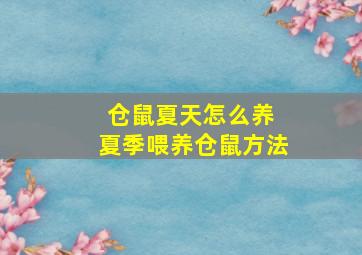 仓鼠夏天怎么养 夏季喂养仓鼠方法